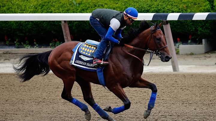 American Pharoah is betting favorite at Belmont Stakes
