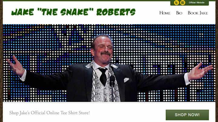 Pro wrestlers have the worst looking websites