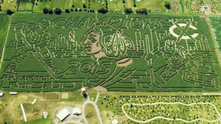 Extra Mustard’s guide to sports corn mazes