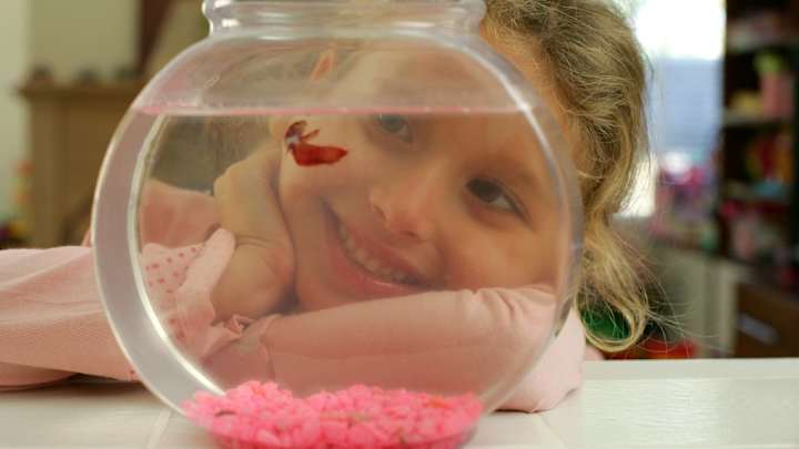 Nat Geo Wild is bringing back Super Bowl alternative Fish Bowl