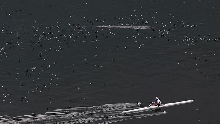 AP Interview: Pollution could delay Olympic rowing regattas AP Interview: Pollution could delay Olympic rowing regattas