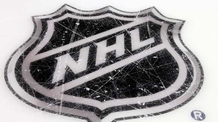 Survey: 34 of 35 NHL players would accept openly gay teammate