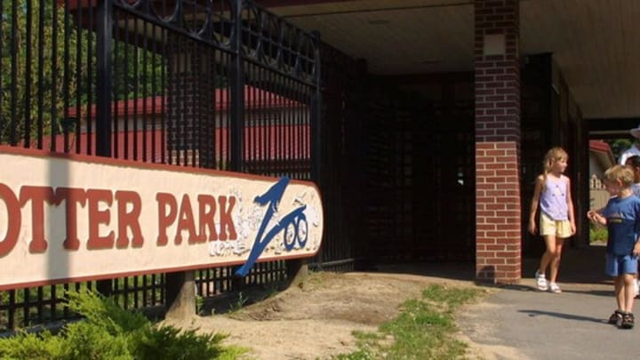 The Itinerary: East Lansing; a complete guide to the home of Michigan State