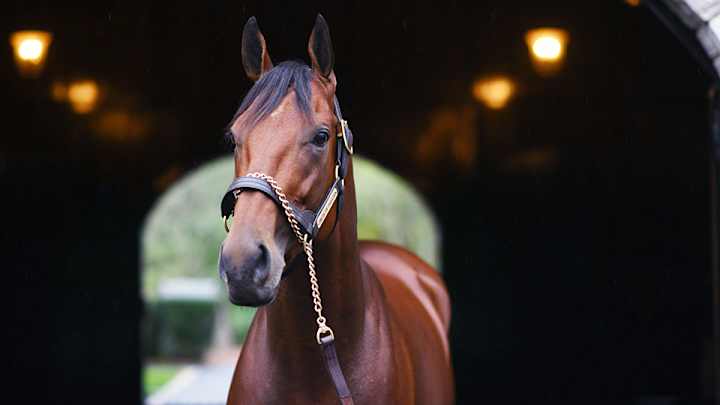 Sports Illustrated's Achievement of the Year 2015: American Pharoah