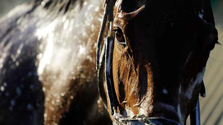 El Kabeir in doubt for Kentucky Derby because of sore foot