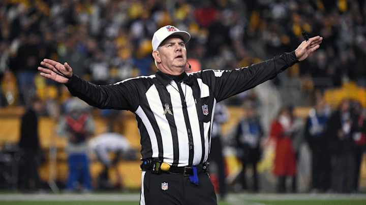 Bill Vinovich named head referee for Super Bowl XLIX