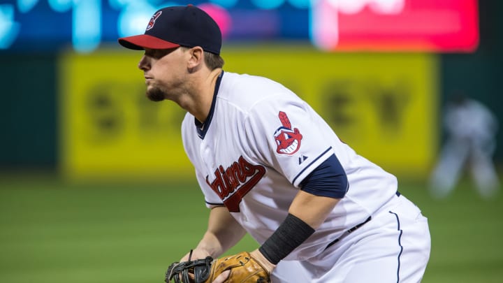 Indians infielder Chris Johnson sidelined with spider bite