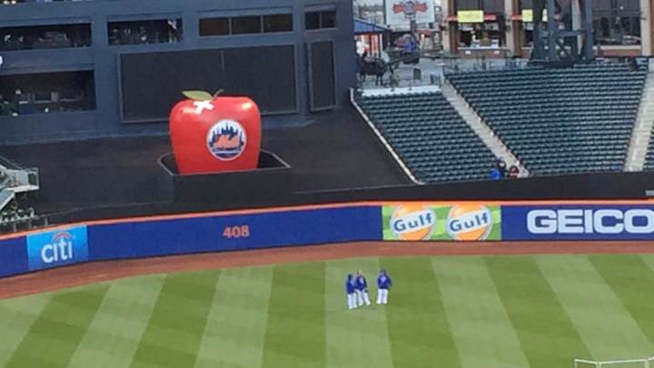 The Mets’ apple got a bandage for the boo-boo Travis d’Arnaud gave it