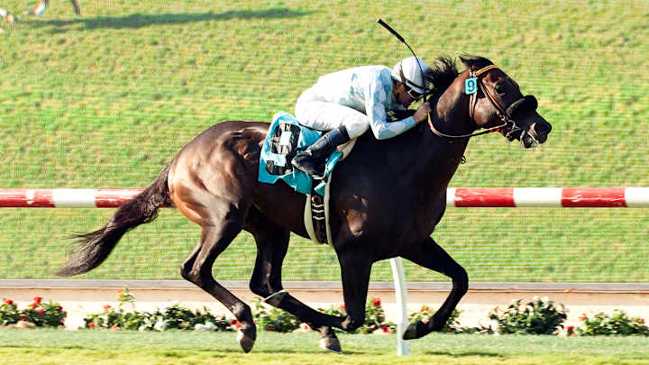 Prospect Park wins La Jolla Handicap at Del Mar