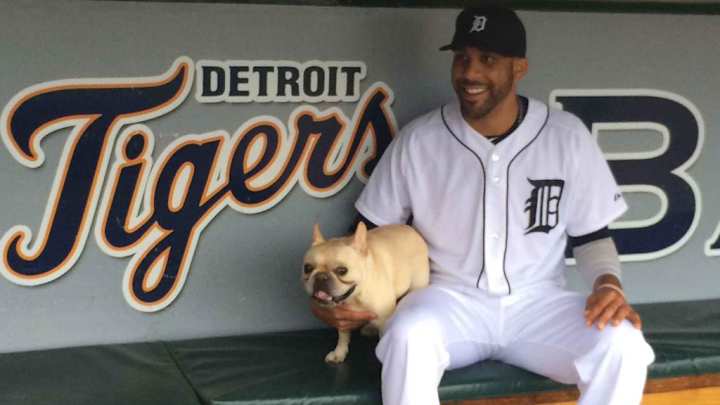 Athletes love National Puppy Day