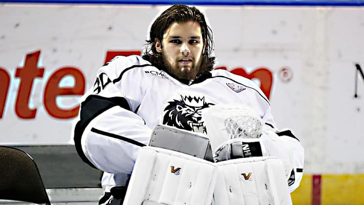 Kings suspend minor leaguer Patrik Bartosak after violence charges Kings suspend minor leaguer Patrik Bartosak after violence charges