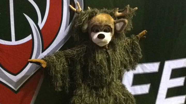 Lion runs loose in Milwaukee, Bucks sending mascot to investigate