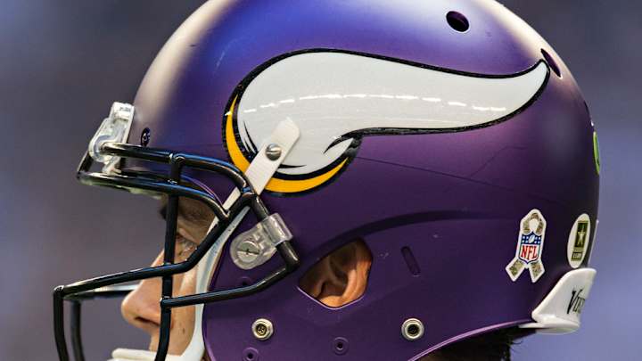Activists: Proposed skyway at new Vikings stadium endangers birds