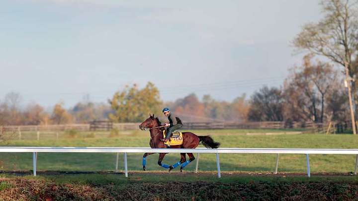 Breeders’ Cup to be Triple Crown winner American Pharoah’s farewell