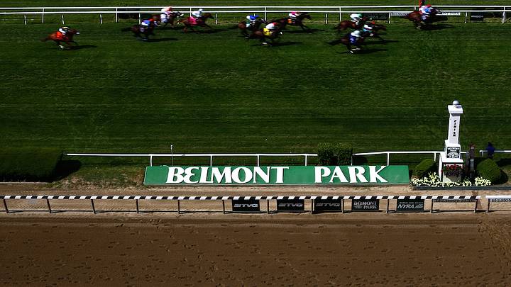 Helwan euthanized after broken bone at Belmont Park