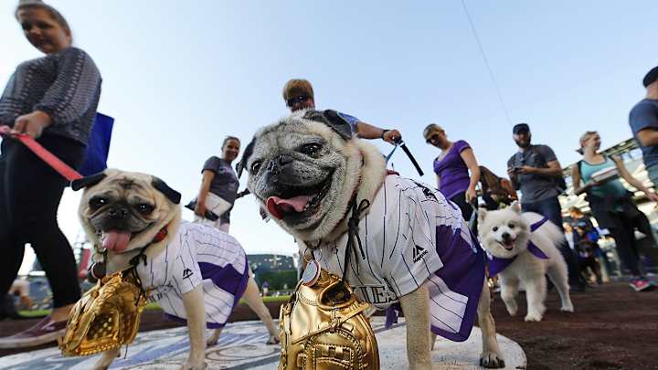 Ballpark Dogs Ballpark Dogs