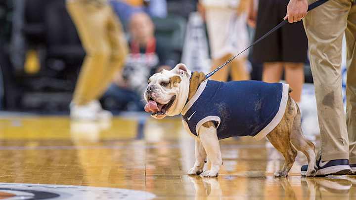 Butler's bulldog mascot throws up on court before game