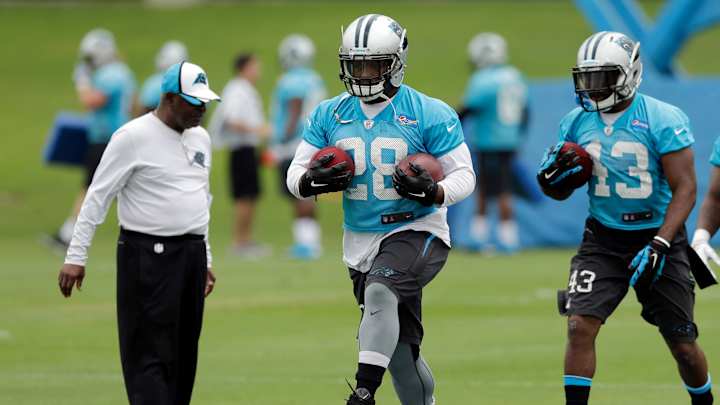 Jonathan Stewart ready to become Carolina's primary back