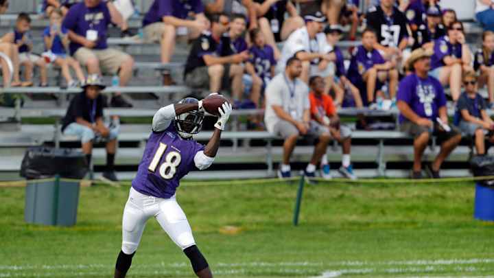 Report: Ravens WR Breshad Perriman reinjures PCL, out indefinitely
