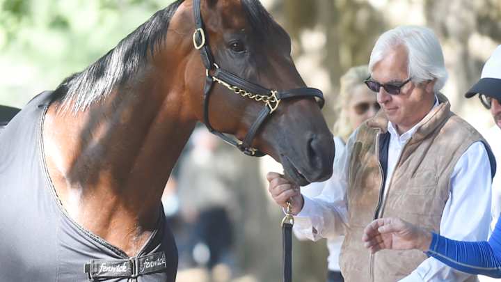 Thousands of fans show up for American Pharoah's gallop