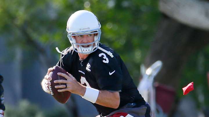 Rehabbing from injury, QB Palmer knows window is closing