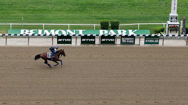 American Pharoah gallops for final time before Belmont