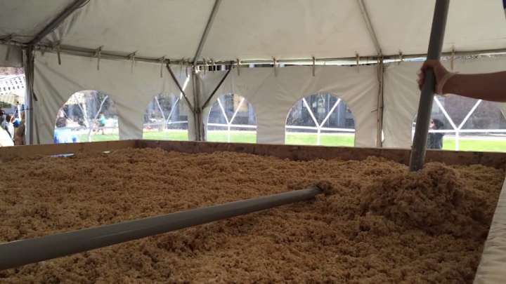 Wisconsin students made an 11,000-pound Rice Krispie treat