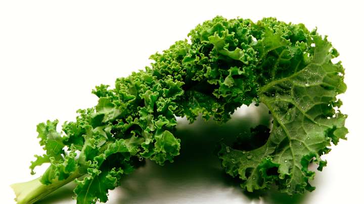 Georgetown women's basketball team to host 'Hail to Kale' night Georgetown women's basketball team to host 'Hail to Kale' night