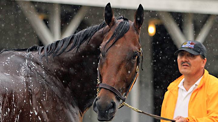 American Pharoah completes half-mile workout at Santa Anita American Pharoah completes half-mile workout at Santa Anita