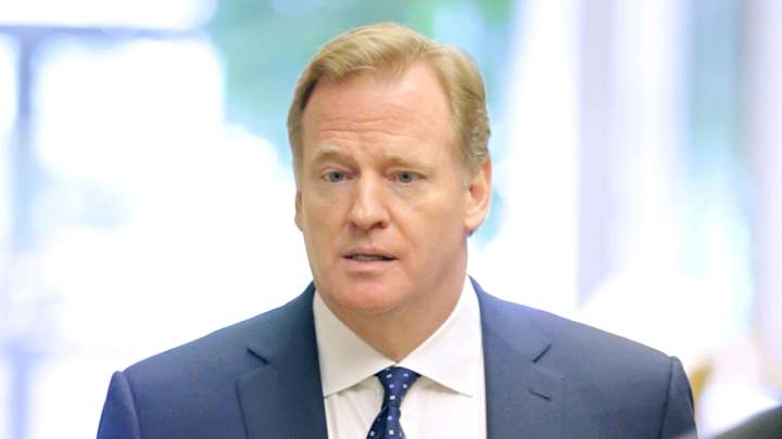 Goodell asks "football personnel" to look into catch rule