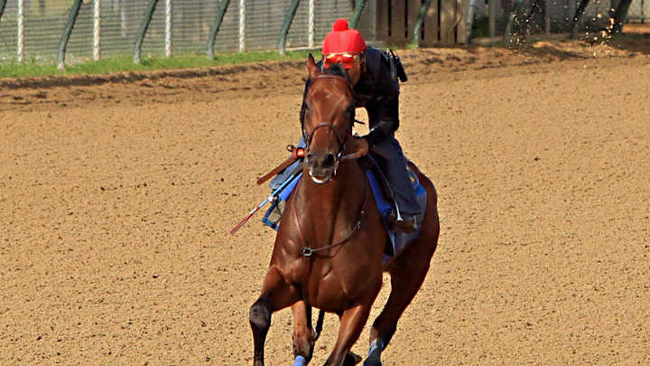 American Pharoah gets 1st work in since winning Preakness