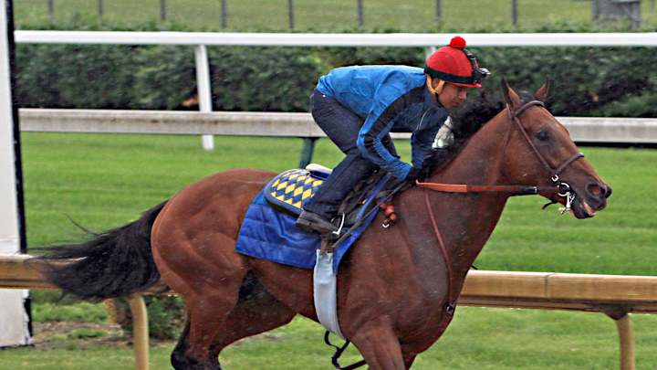 American Pharoah still front and center on racing's stage
