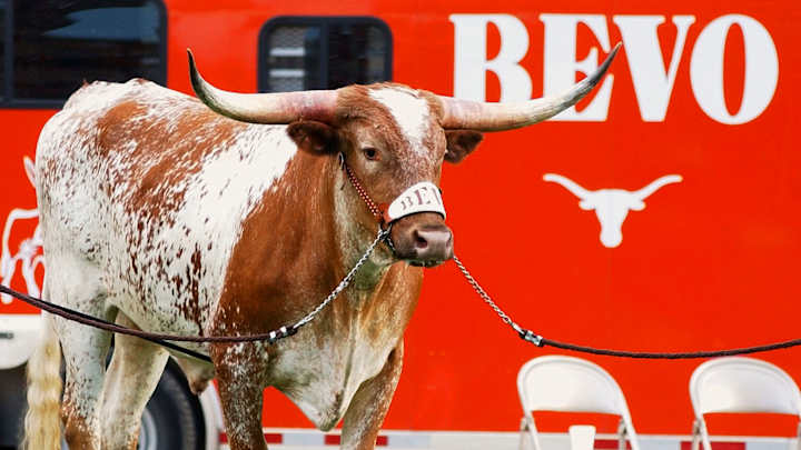 Texas Longhorn steer mascot Bevo XIV dies Texas Longhorn steer mascot Bevo XIV dies