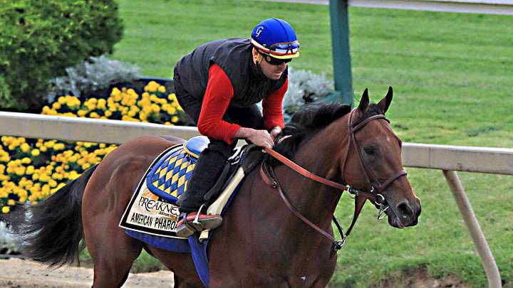 American Pharoah favored to win Preakness, set up Triple try