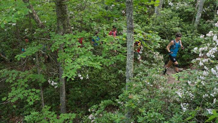 Ultramarathoner who set Appalachian Trail record fined $500 for celebration