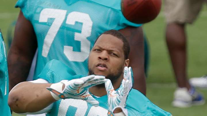 Dolphins believe they can be special in 2015