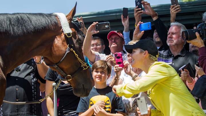 Looking ahead to Breeders' Cup Classic with American Pharoah