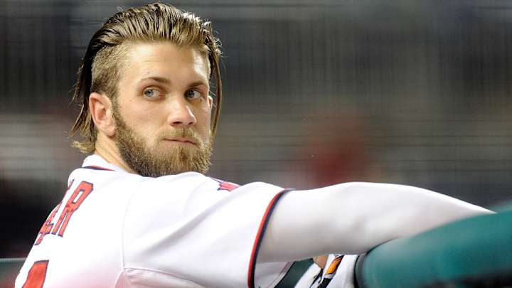 Bryce Harper, Doug Fister show off pets for Nationals team calendar