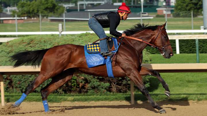 Belmont Stakes odds: American Pharoah is betting favorite