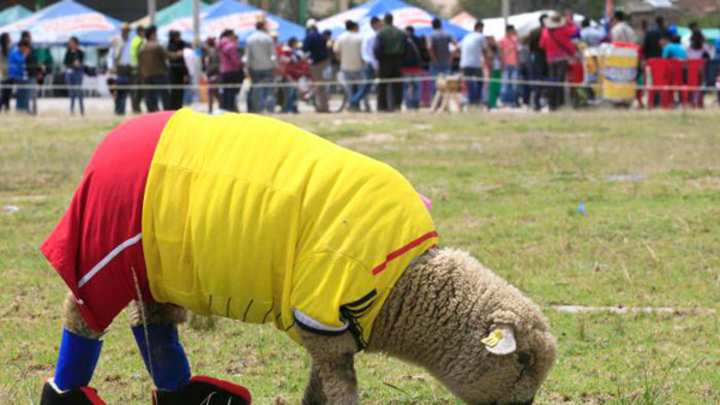 Tuesday's A.M. Hot Clicks