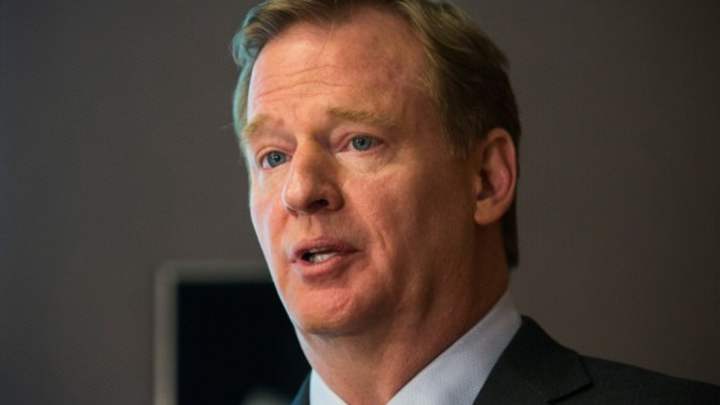 Roger Goodell says expanded playoffs still possible for 2014