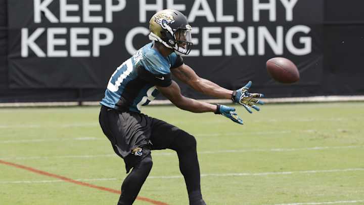 Jaguars receiver Allen Robinson out 'extended period' with injury