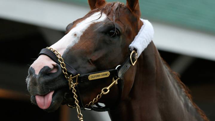 Preakness Stakes 2014: Post Positions
