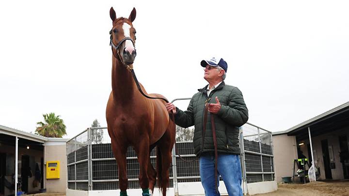 California Chrome can wear nasal strip at Belmont, but sport suffers