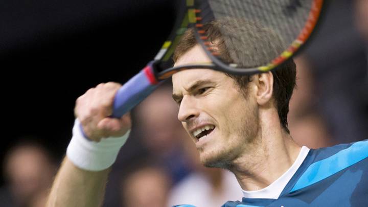 Del Potro, Murray make quarterfinals in Rotterdam