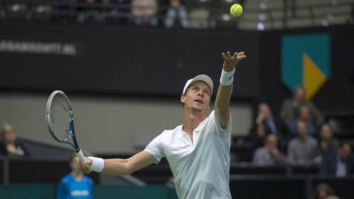 Tomas Berdych wins ABN Amro tournament
