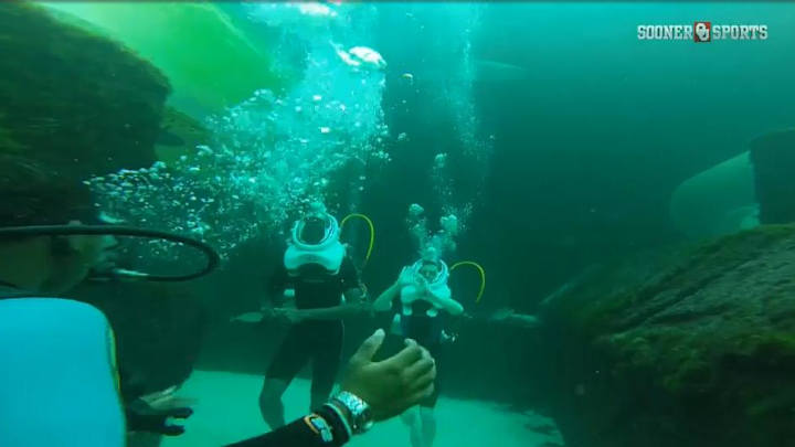 Watch Oklahoma basketball players swim with sharks in the Bahamas