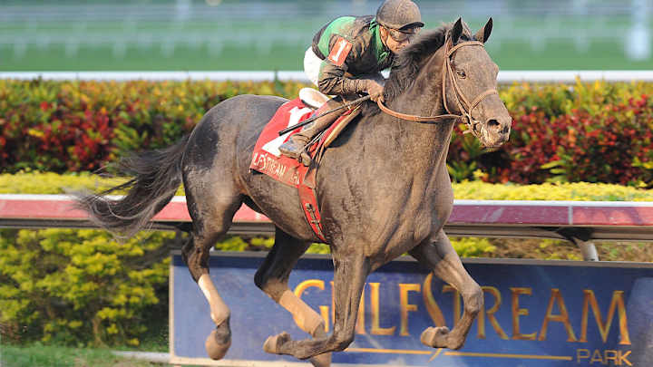 He's not training anymore, but John Forbes Jr. still has a stake in this weekend's Haskell Invitational He's not training anymore, but John Forbes Jr. still has a stake in this weekend's Haskell Invitational