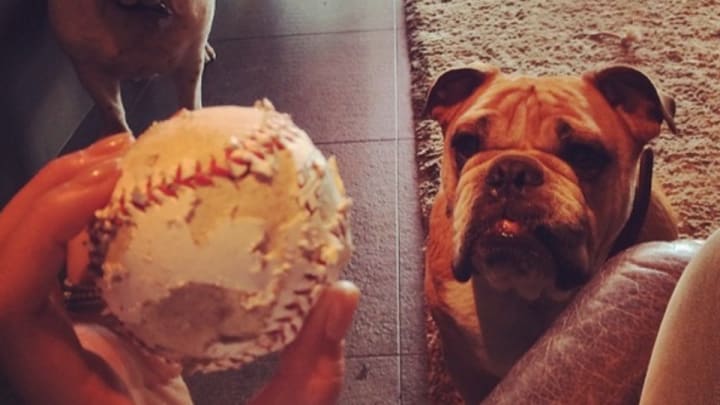 The ball from Chrissy Teigen's first pitch did not last long