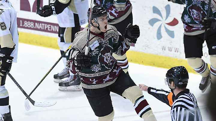 ECHL's Reading Royals get into the spirit with ugly holiday sweaters